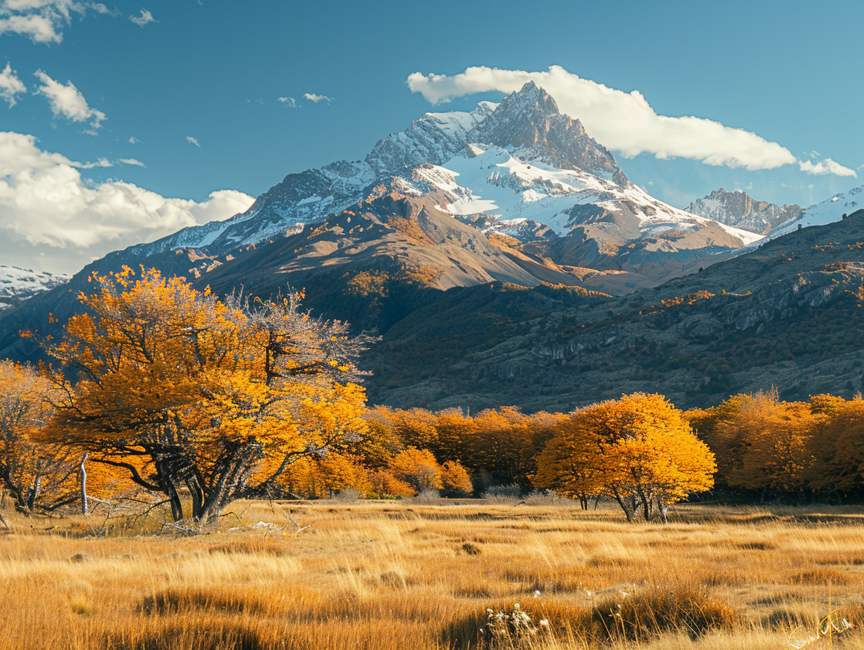 argentine octobre